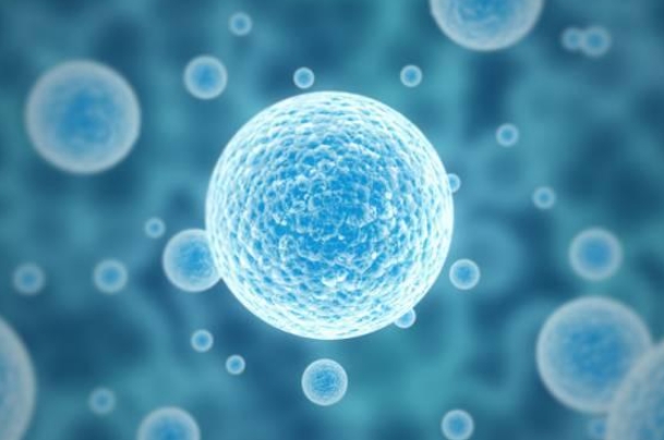 周公解梦原版原文查