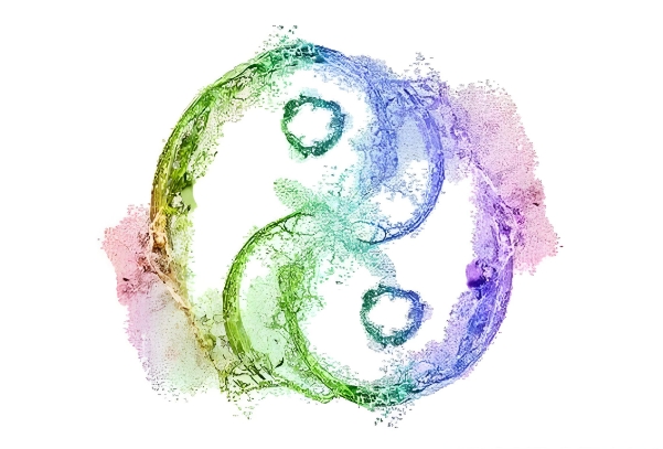 梦见别人的手机丢了_手机失踪寓意