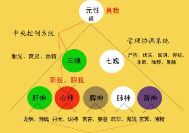 梦见狗咬别人我在旁边看着图片