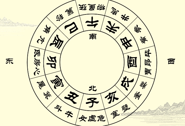 梦见我抓了一条蛇_抓蛇寓意