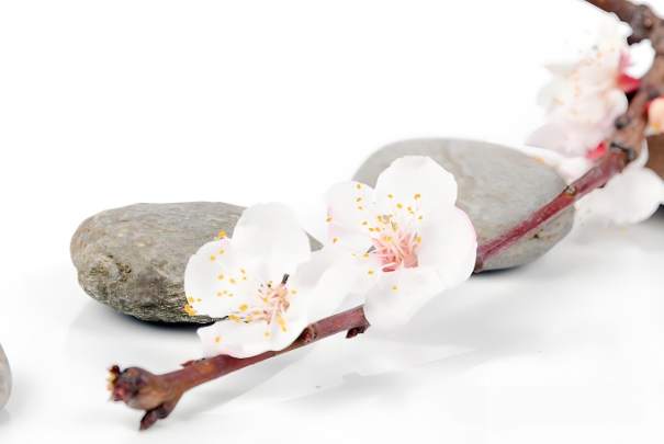 梦见有人追求我女儿_梦境解析