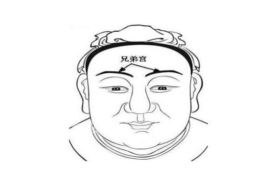 梦见老虎周公原版_梦虎解梦详解