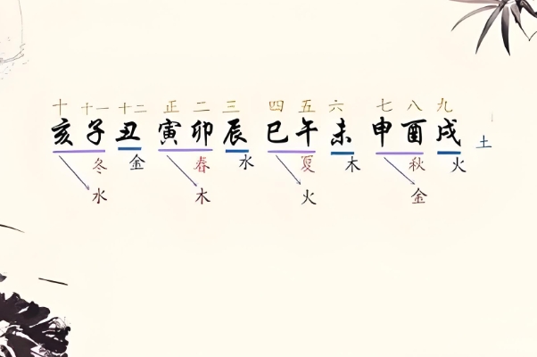 梦见钱包被偷又找回来了图片