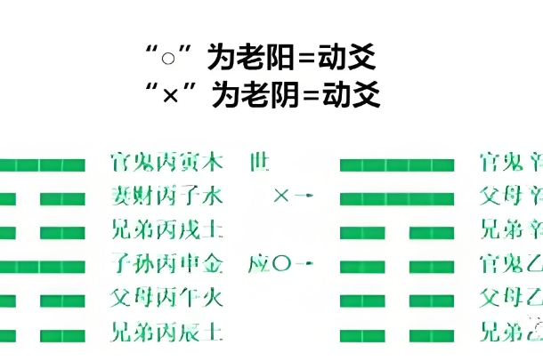 nt单子上有男女标志_性别识别指南