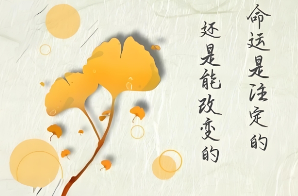 今日运势查询十二生肖_今日运势速查图片