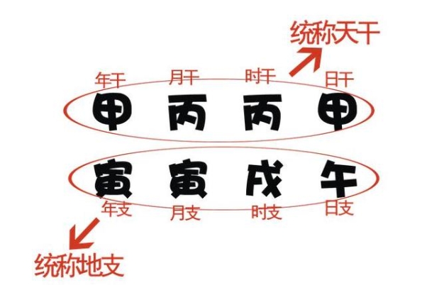 梦见狼追我是什么预兆