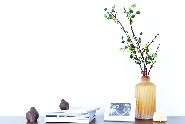 梦见乌龟咬我但没咬到_乌龟未咬之梦