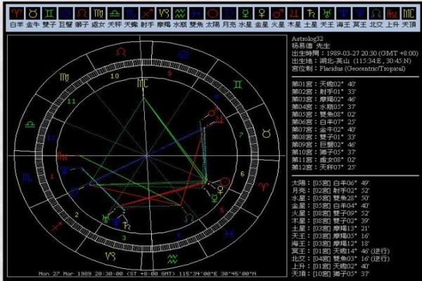 梦到猫咪是什么征兆_梦境解析