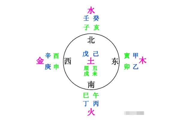 梦见满地大大小小的蛇到处爬图片
