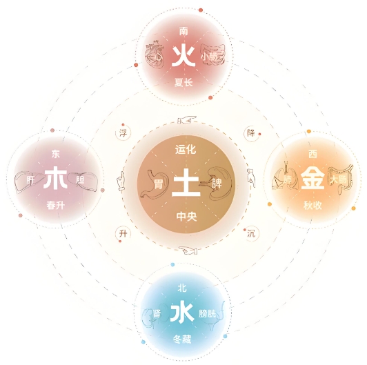 中国居民平衡膳食宝塔