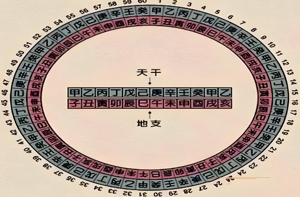 梦见连着掉了好几颗牙齿