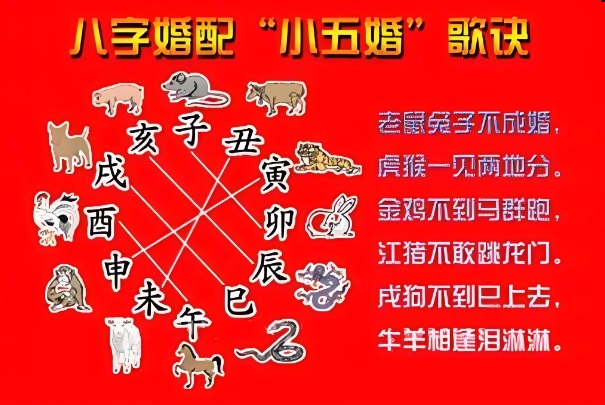 查看2025年生肖排表_生肖运势全览图片