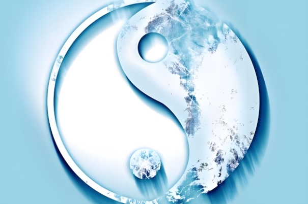 梦见好多猫是什么预兆