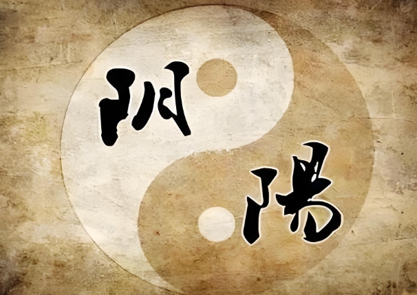 属龙人的终身贵人是谁