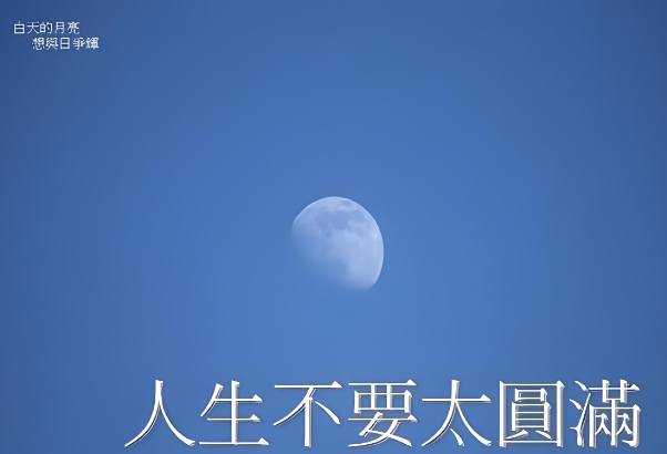 中国加盟网招商平台_项目直通车图片