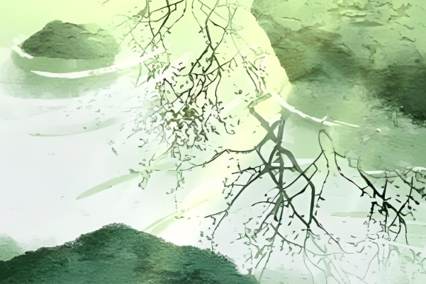 周公解梦梦见怀孕了预示什么_梦境含义大全