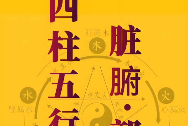 2023生肖运势大解析最准_年度运势详解