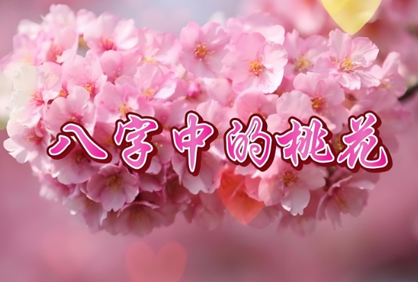 女人梦见飞机在天上飞财运_招财与远行图片