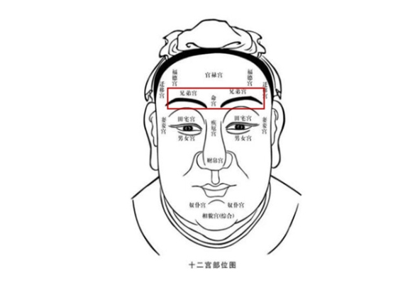 梦见小男孩拉屎图片