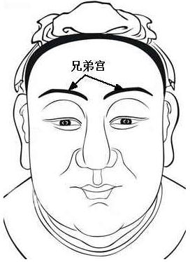 孕妇梦见蛇一定是儿子吗