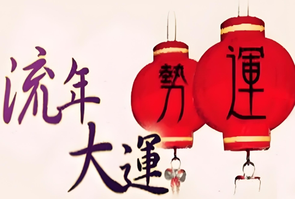 周公解梦全解查询梦见猪_猪梦详解