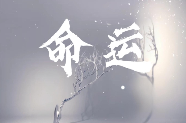 1981年属鸡的是什么命