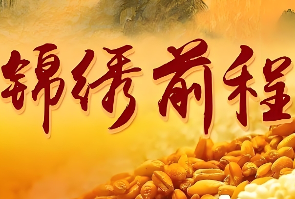 属兔的今年多大