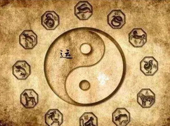 2025年生肖最好的是什么生肖_蛇年最旺