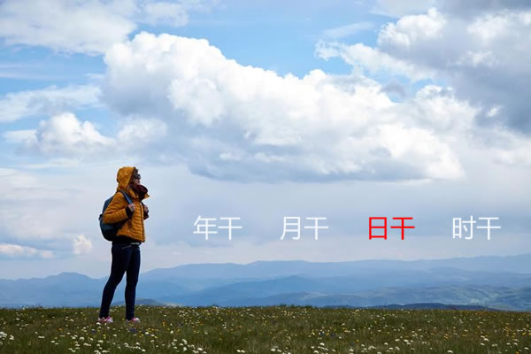 男人梦里梦见蛇是什么预兆_蛇影解析