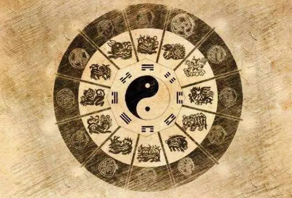 做梦梦见蛇是什么意思图片