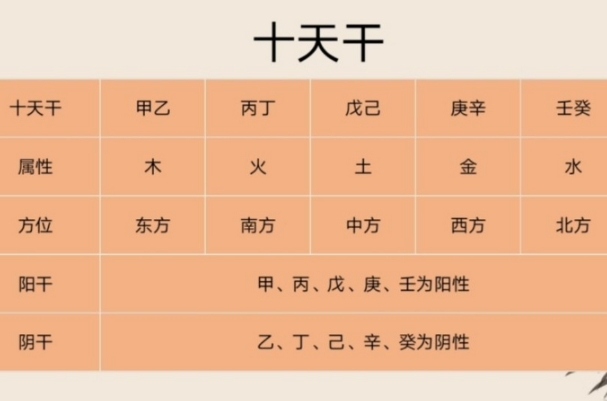 梦见狗咬自己身边的人